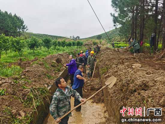 广西荔浦大塘镇不误农时 春季清淤忙