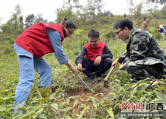 崇左凭祥供电局携手单位义务植树为边城添绿