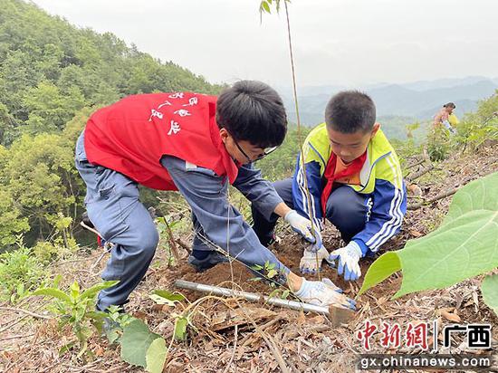 崇左凭祥供电局携手单位义务植树为边城添绿