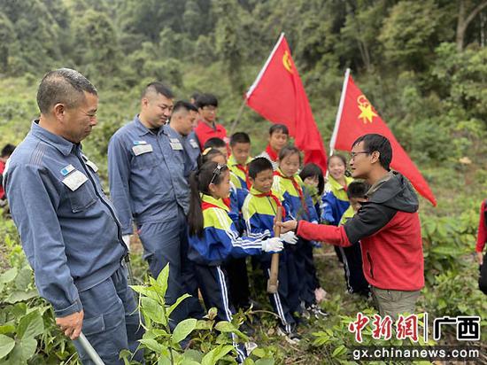 崇左凭祥供电局携手单位义务植树为边城添绿