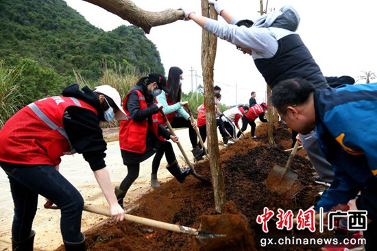 广西-东盟经开区：植绿树 添新绿