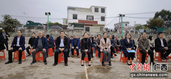桂平市下湾镇龙岭村：村里有了乡村振兴工程队