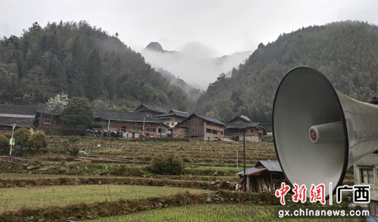 广西龙胜乡村风貌立体“整容” 村庄全面增绿移步换景