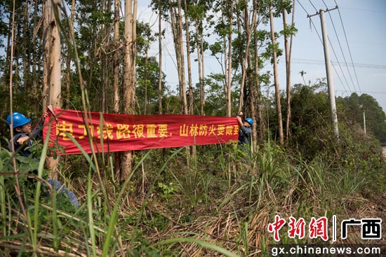 北海供电局严防山火隐患 确保两会期间电网安全运行