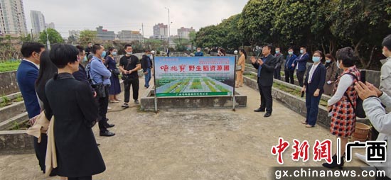 北海市海城区工商联为企搭台交流 中华肥王分享创业经历