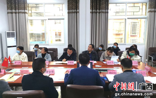 南溪山医院组织开展医联体单位党建考评工作