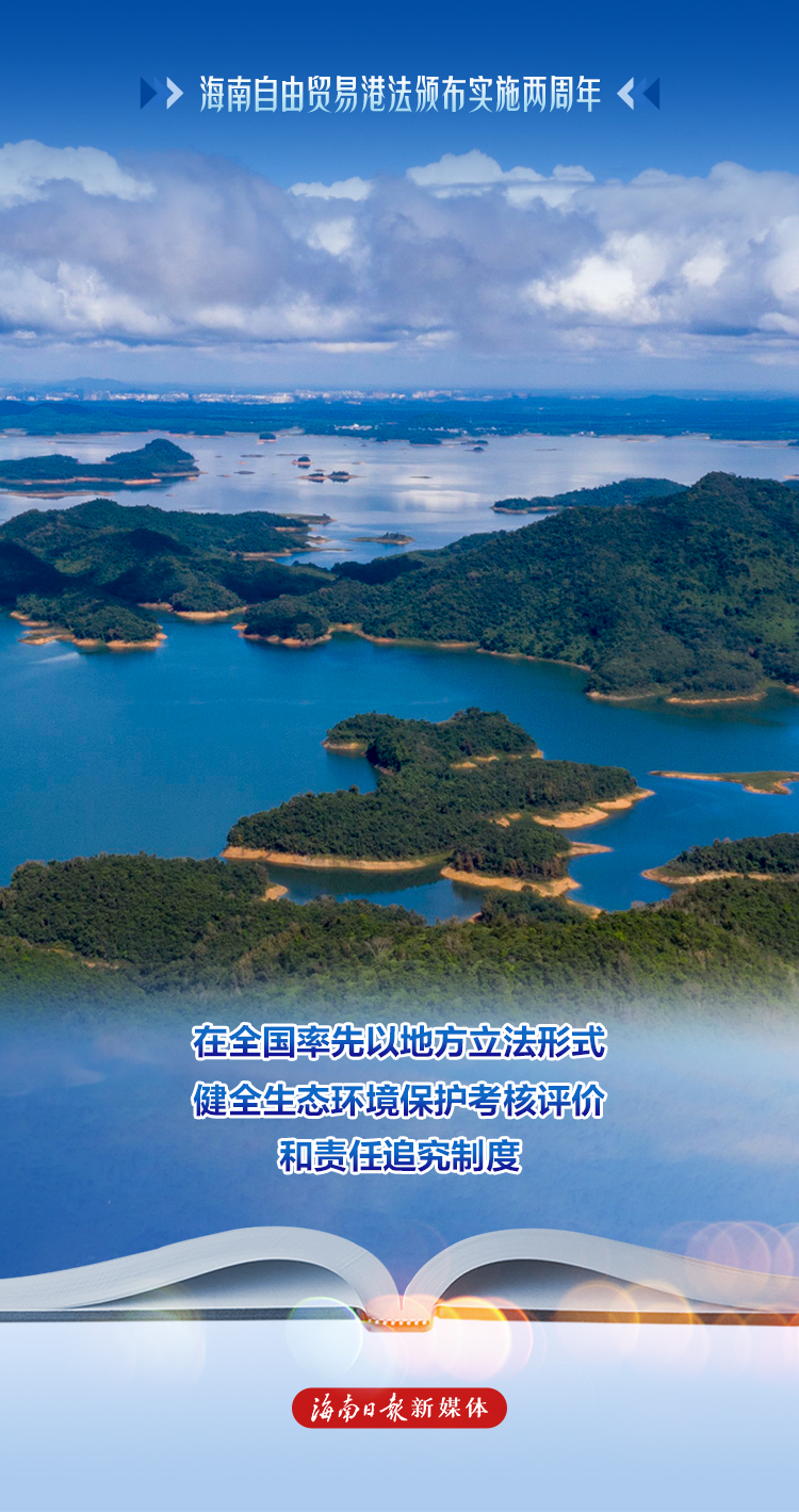 一组海报看海南自由贸易港法颁布实施两周年成效