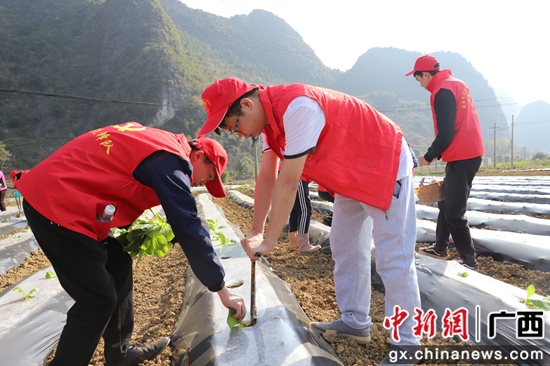 靖西：干群齐发力 争先新开局
