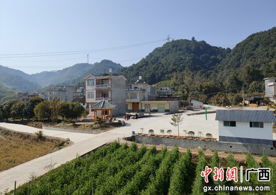 荔浦市修仁镇“三清三拆”描绘幸福乡村新风貌
