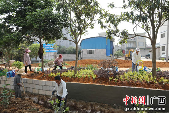 荔浦市荔城镇掀起乡村风貌建设热潮